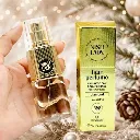 Nishlady Hair Perfume Diamond  2.webp